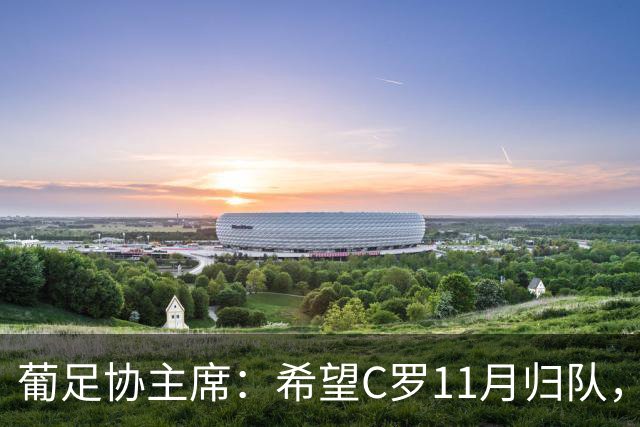 葡足协主席：希望C罗11月归队，但纪律委员会将独立处理此事